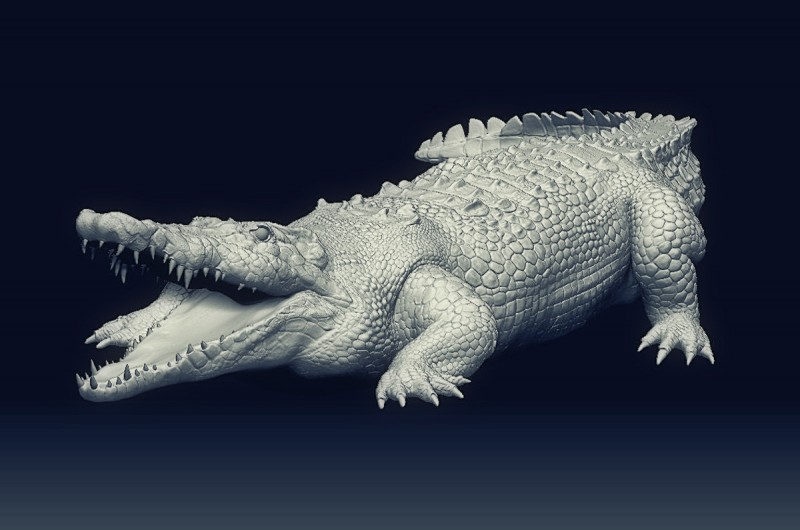 Croc